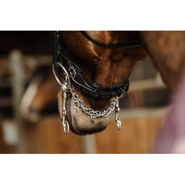 Trense Norton Basal Schwarz