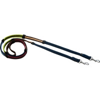 Gepolsterte Ausbildungszügel