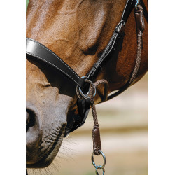 Bitless-Zaumzeug Norton Havanna Braun