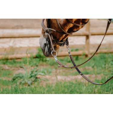 Bitless-Zaumzeug Norton Havanna Braun