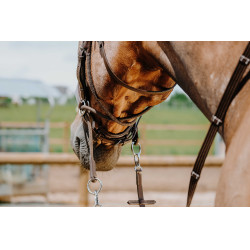 Bitless-Zaumzeug Norton Havanna Braun