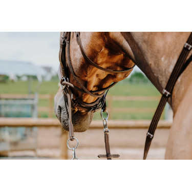 Bitless-Zaumzeug Norton Havanna Braun