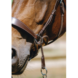 Bitless-Zaumzeug Norton Havanna Braun