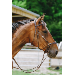 Bitless-Zaumzeug Norton Havanna Braun