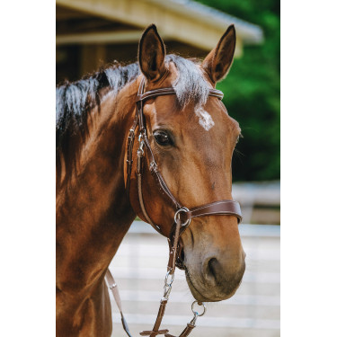Bitless-Zaumzeug Norton Havanna Braun