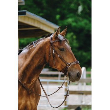 Bitless-Zaumzeug Norton Havanna Braun