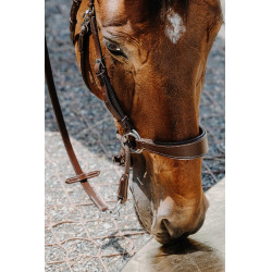 Bitless-Zaumzeug Norton Havanna Braun