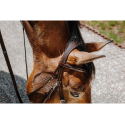 Bitless-Zaumzeug Norton Havanna Braun