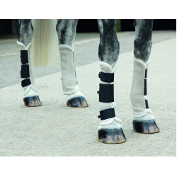 Fliegen-Gamaschen Fly Turnout Shires Fliegen-Gamaschen Fly Turnout Shires