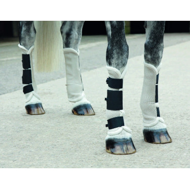 Fliegen-Gamaschen Fly Turnout Shires Fliegen-Gamaschen Fly Turnout Shires