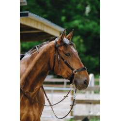 Bitless-Zaumzeug Norton Schwarz