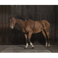 Norton Hilfszügel sanfter Extender Marine / Schwarz Blau