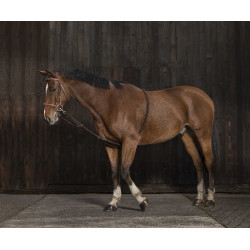 Norton Hilfszügel sanfter Extender Marine / Schwarz Blau