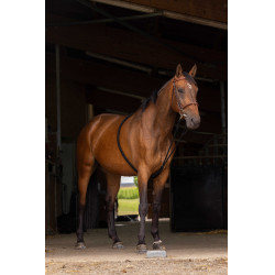 Norton Hilfszügel sanfter Extender Schwarz