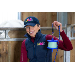 Halterung für Likit Salzleckstein 650 g Blau