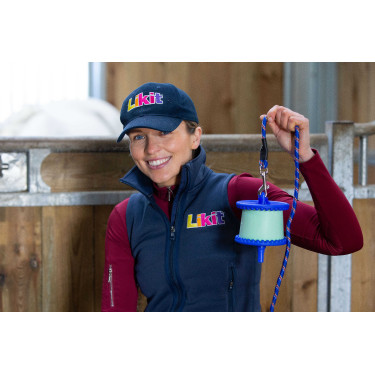 Halterung für Likit Salzleckstein 650 g Blau