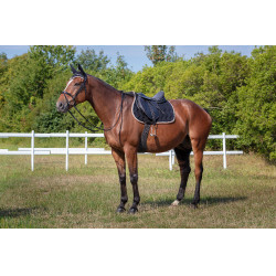 Satteldecke Equithème Polyfun Schwarz / Taupe Satteldecke Equithème Polyfun Schwarz / Taupe