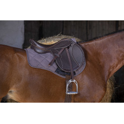 Sattel Close Contact Norton Club Rexine Evol Braun