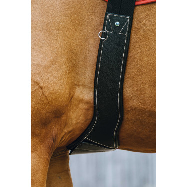 Anatomischer Gurt Magnet Norton Schwarz