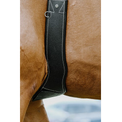 Anatomischer Gurt Magnet Norton Schwarz