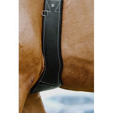 Anatomischer Gurt Magnet Norton Schwarz