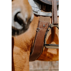 Anatomischer Gurt Magnet Norton Havanna Braun