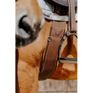 Anatomischer Gurt Magnet Norton Havanna Braun