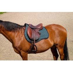 Satteldecke Equithème Impulsion