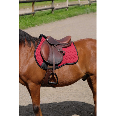 Satteldecke Equithème Impulsion Bordeaux Satteldecke Equithème Impulsion Bordeaux