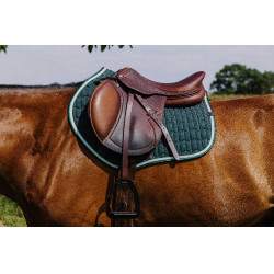 Satteldecke Equithème Eclat Grün Gr&uuml;n