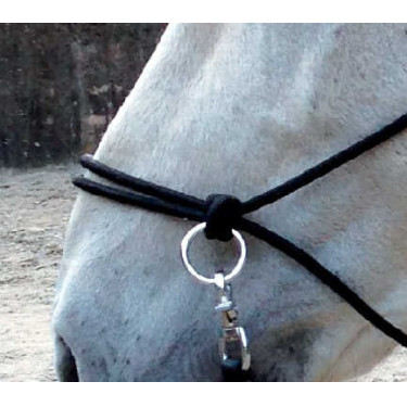 Ethologisches Halfter mit Zügeln Schwarz