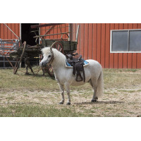 Gestepptes Navajo-Pad