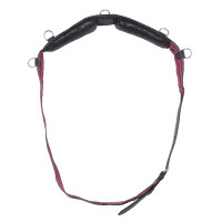 Longiergurt Gurt Norton Club Longiergurt Gurt Norton Club