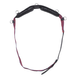 Longiergurt Gurt Norton Club