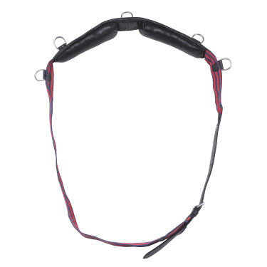 Longiergurt Gurt Norton Club