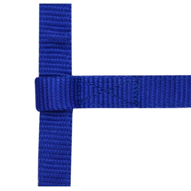 Verstellbares Mini-Halfter Königsblau