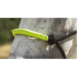 ETHOLOGISCHES HALFTER + FARBIGE STRICKLEINE Neongrün Gr&uuml;n