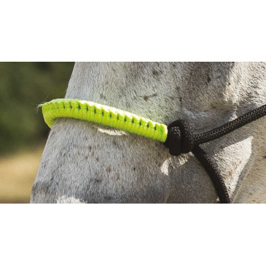 ETHOLOGISCHES HALFTER + FARBIGE STRICKLEINE Neongrün Gr&uuml;n