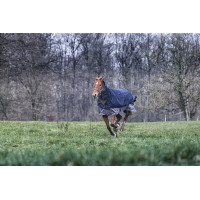 Equithème Tyrex 600 D COMBO 200G Decke