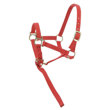 Nylon-Fohlenhalfter Rot
