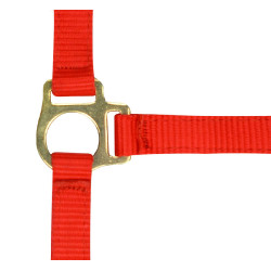 Nylon-Fohlenhalfter Rot