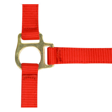 Nylon-Fohlenhalfter Rot