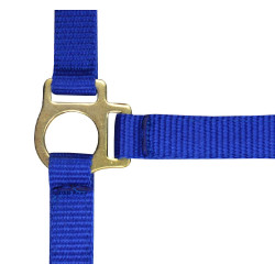 Nylon-Fohlenhalfter Königsblau