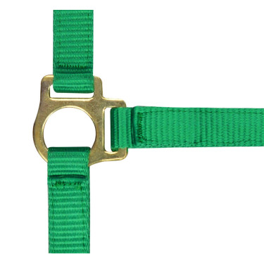 Nylon-Fohlenhalfter Hellgrün Gr&uuml;n