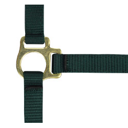 Nylon-Fohlenhalfter Dunkelgrün Grün Nylon-Fohlenhalfter Dunkelgrün Grün