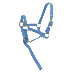 Nylon-Fohlenhalfter Himmel Blau Nylon-Fohlenhalfter Himmel Blau