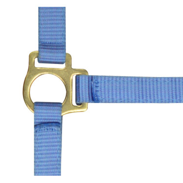 Nylon-Fohlenhalfter Himmel Blau Nylon-Fohlenhalfter Himmel Blau