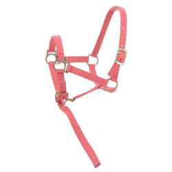 Nylon-Fohlenhalfter Pink Rosa