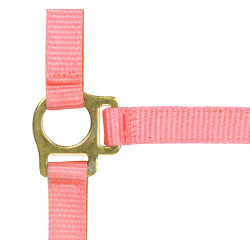 Nylon-Fohlenhalfter Pink Rosa