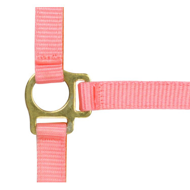Nylon-Fohlenhalfter Pink Rosa
